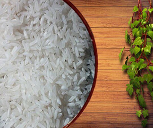 IRRI – 6 Rice IRRI - 6 Rice