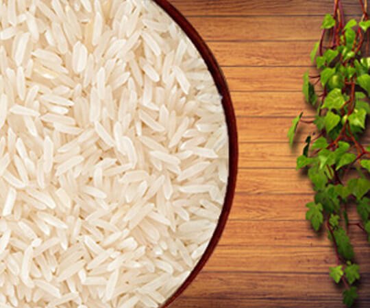 PK – 386 Long Grain Rice – Textile Club